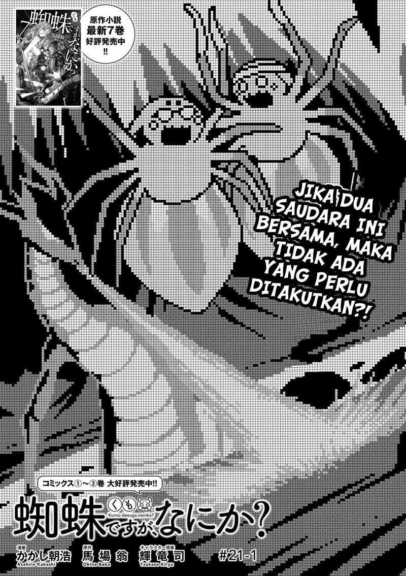 Kumo desu ga, Nani Ka?